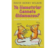 Ya Hemstırlar Cennete Gidemezse? - David Henry Wilson - İletişim Yayınevi