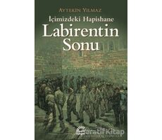 Labirentin Sonu - Aytekin Yılmaz - İletişim Yayınevi