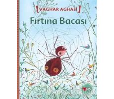 Fırtına Bacası - Vaghar Aghaei - Can Çocuk Yayınları