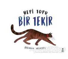 Hepi Topu Bir Tekir - Brendan Wenzel - Taze Kitap