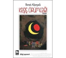 Keşiş Örümceği - Berat Alanyalı - Bilgi Yayınevi