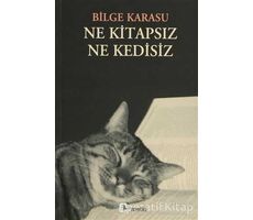 Ne Kitapsız Ne Kedisiz - Bilge Karasu - Metis Yayınları