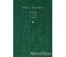 Kesik Esin/ tiler - Oruç Aruoba - Metis Yayınları