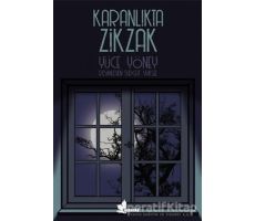 Karanlıkta Zikzak - Yüce Yöney - Çınar Yayınları