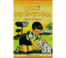 Moli Yavruladı - İncila Çalışkan - Özyürek Yayınları