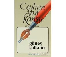 Güneş Salkımı Bütün Eserleri 1 - Ceyhun Atuf Kansu - Bilgi Yayınevi