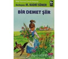 Bir Demet Şiir - Derleme - Bilgi Yayınevi