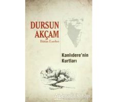 Kanlıdere’nin Kurtları - Dursun Akçam - Arkadaş Yayınları