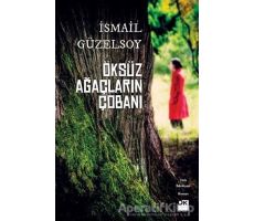 Öksüz Ağaçların Çobanı - İsmail Güzelsoy - Doğan Kitap