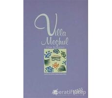Villa Meçhul - Tom Robbins - Ayrıntı Yayınları
