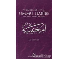 Peygamberimizin Hanımı Ümmü Habibe ve Rivayet Ettiği Hadisler - Aynur Uraler - Çamlıca Yayınları