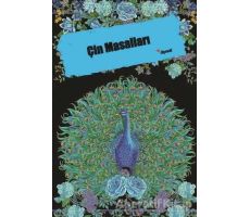 Çin Masalları - Kolektif - Dipnot Yayınları