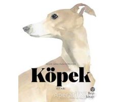 Köpek Kitabı: Resim Sanatında Köpekler - Angus Hyland - Hep Kitap