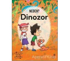 Neden? Dinozor - Hangsun Lee - Hep Kitap