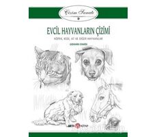 Evcil Hayvanların Çizimi - Çizim Sanatı 9 - Giovanni Civardi - Beta Kitap