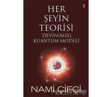 Her Şeyin Teorisi - Nami Çifçi - Cinius Yayınları