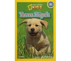 Yavru Köpek - Susan B. Neuman - Beta Kids