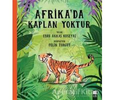 Afrikada Kaplan Yoktur - Ebru Akkaş Kuseyri - Final Kültür Sanat Yayınları