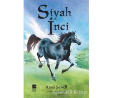 Siyah İnci - Anna Sewell - Bilge Kültür Sanat
