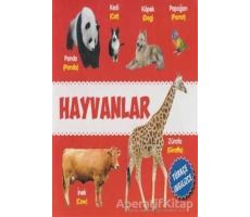 Hayvanlar Türkçe-İngilizce - Kolektif - Parıltı Yayınları