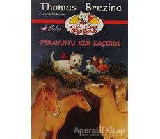 Firavun’u Kim Kaçırdı - Thomas Brezina - Bulut Yayınları