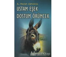 Ustam Eşek Dostum Örümcek - A. Murat Aytekin - Arkadaş Yayınları