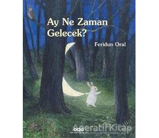 Ay Ne Zaman Gelecek? - Feridun Oral - Yapı Kredi Yayınları