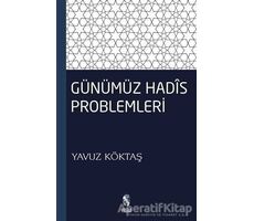 Günümüz Hadis Problemleri - Yavuz Köktaş - İnsan Yayınları