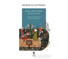 Şems-Mevlana Dostluğu - Bayram Ali Çetinkaya - İnsan Yayınları