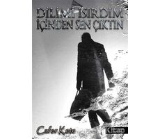 Dilimi Isırdım İçinden Sen Çıktın - Cafer Kete - İkinci Adam Yayınları