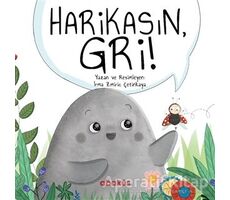 Harikasın Gri! - İrma Zmiriç Çetinkaya - Abaküs Kitap