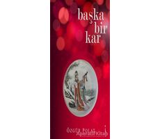 Başka Bir Kar - Özgür Polat - İkinci Adam Yayınları