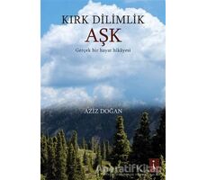 Kırk Dilimlik Aşk - Aziz Doğan - İkinci Adam Yayınları