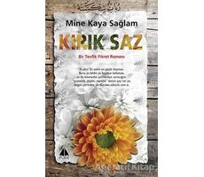Kırık Saz - Mine Kaya Sağlam - Pupa Yayınları