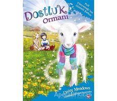 Dostluk Ormanı 12 - Pufi Yünyumağının Gizemli Şarkısı - Daisy Meadows - Beyaz Balina Yayınları