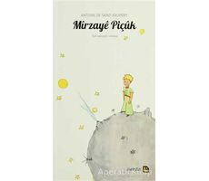Mirzaye Piçük - Antoine de Saint-Exupery - Avesta Yayınları