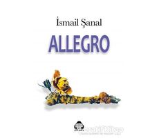 Allegro - İsmail Şanal - Alan Yayıncılık