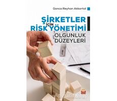 Şirketler İçin Risk Yönetimi - Olgunluk Düzeyleri - Gonca Reyhan Akkartal - Nobel Bilimsel Eserler