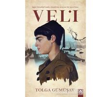 İşgal İstanbulunda Rüzgarını Arayan Bir Uçurtma: Veli - Tolga Gümüşay - Altın Kitaplar