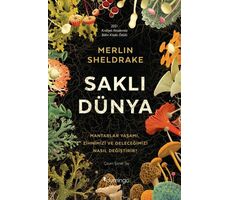 Saklı Dünya - Merlin Sheldrake - Domingo Yayınevi