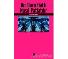 Bir Boru Hattı Nasıl Patlatılır - Andreas Malm - Ayrıntı Yayınları