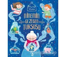 Ninemin Gezegen Turşusu - Martin Stanev - Taze Kitap