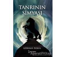 Tanrının Simyası - Gökhan Özkul - İkinci Adam Yayınları