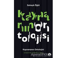 Kaynananın Ontolojisi Siyasetin Cevhersiz Arazı - Suheyb Öğüt - Turkuvaz Kitap