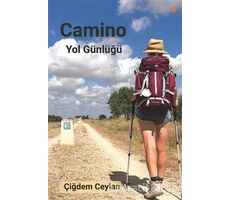 Camino Yol Günlüğü - Çiğdem Ceylan - Cinius Yayınları