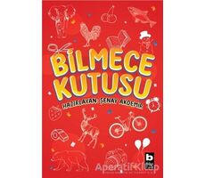 Bilmece Kutusu - Şenay Akdemir - Bilgi Yayınevi