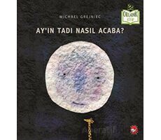 Ayın Tadı Nasıl Acaba? - Michael Grejniec - Beyaz Balina Yayınları