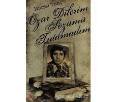 Özür Dilerim Sözümü Tutamadım - Nursel Tunç - Cinius Yayınları