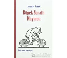 Köpek Suratlı Maymun - Jaroslav Hasek - Dedalus Kitap