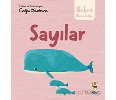 Hikayeli İlk Kavramlarım - Sayılar - Çağrı Odabaşı - Sincap Kitap